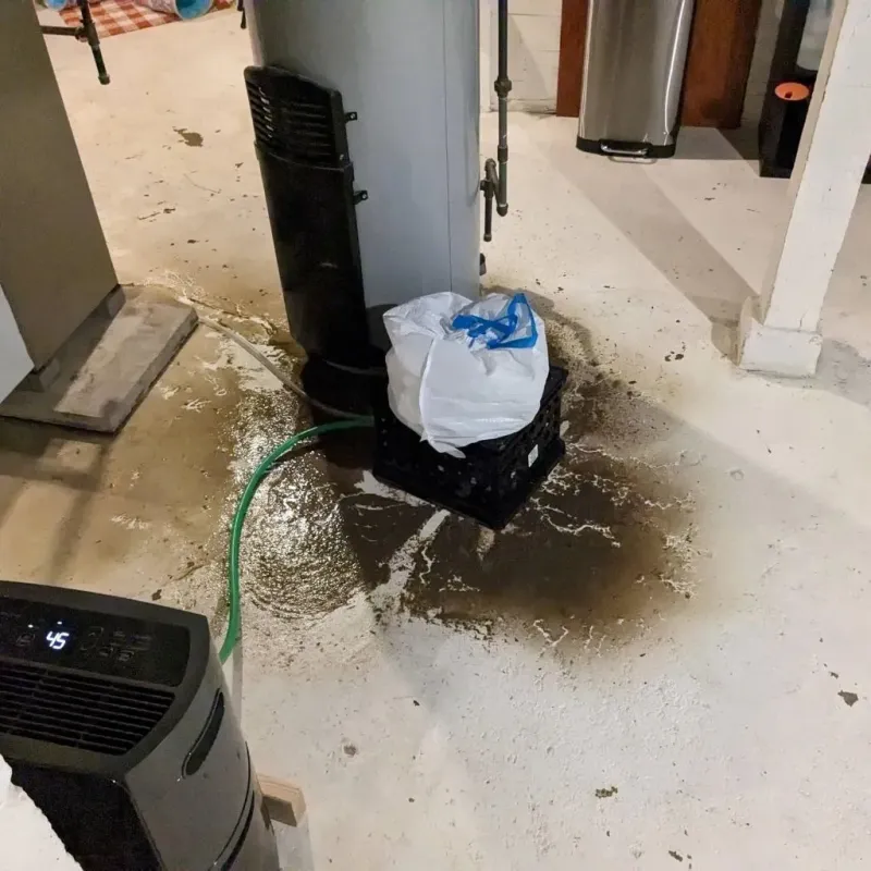 Sewage Backup Cleanup Service in Gilchrist County, FL